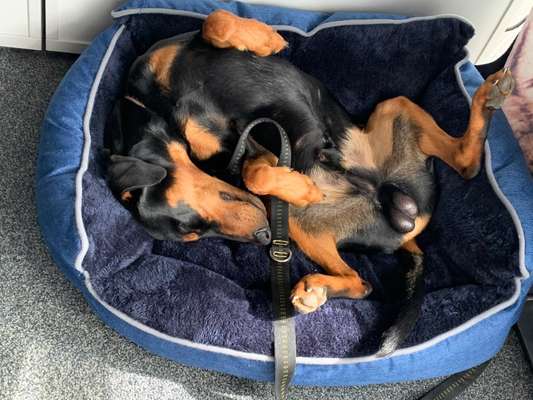 Zeigt her...-Beitrag-Bild