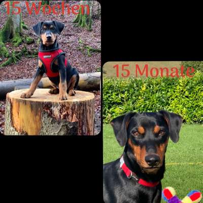 Sie werden so schnell groß!-Beitrag-Bild