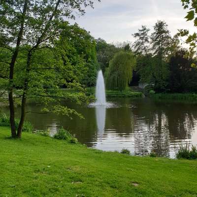 Hundeauslaufgebiet-Raffelbergpark-Bild