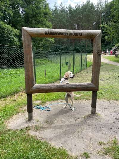 Fotochallenge Nr. 94 It's summer time-Beitrag-Bild