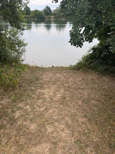 Giftköder-Möglicher Giftköder - evtl. Rattengift-Bild