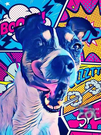 Fotochallenge 124 - Dein Comic-Hund-Beitrag-Bild