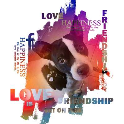 Fotochallenge 124 - Dein Comic-Hund-Beitrag-Bild