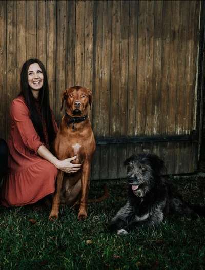 Rhodesian Ridgeback-Beitrag-Bild