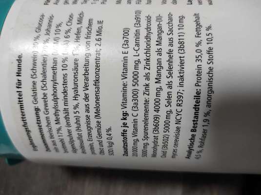 Französische Bulldoggen-Beitrag-Bild