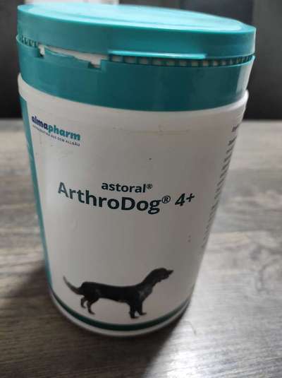 Französische Bulldoggen-Beitrag-Bild