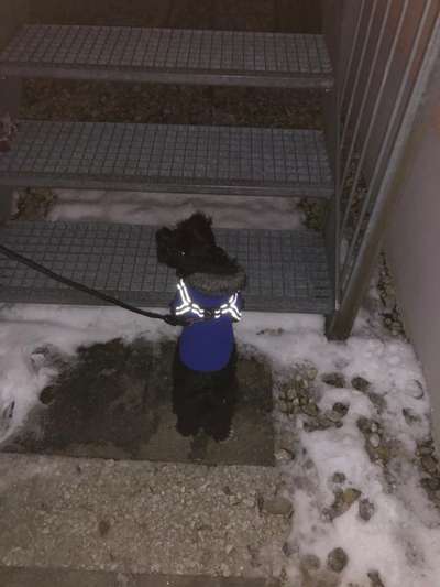 Der erste Schnee, zeigt uns eure tollen Schneemomente-Beitrag-Bild