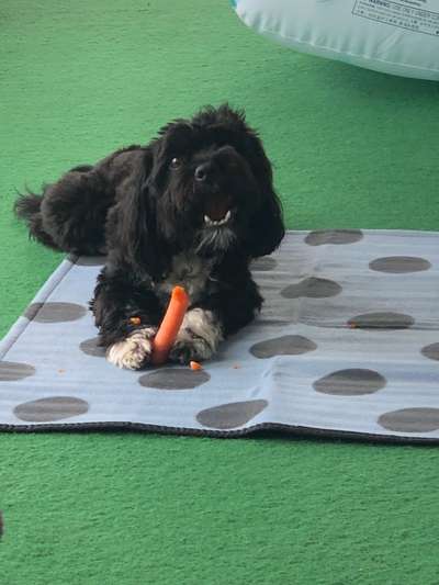 Fotochallenge Nr.105  Glücksmomente-Beitrag-Bild