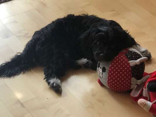 CHALLENGE NR. 34 - Liege-/Schlafpositionen-Beitrag-Bild