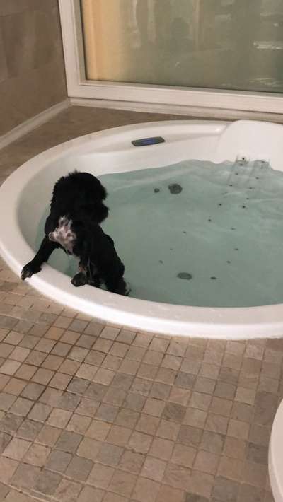 Fotochallenge 128-Beitrag-Bild