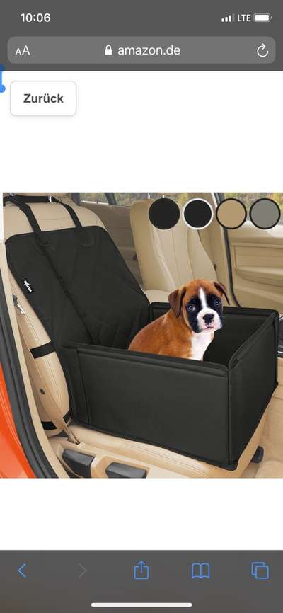 Hundetransport im Auto-Beitrag-Bild