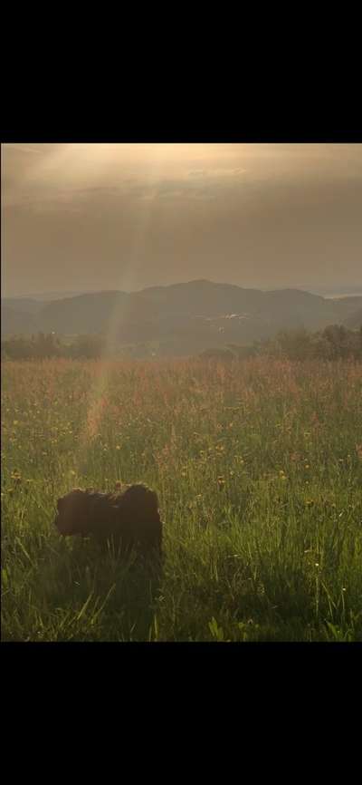 SonnenSTRAHLEN-Beitrag-Bild