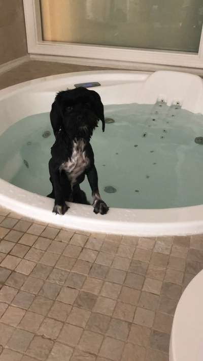 FOTOCHALLANGE NR.71 BADEFREUDE-Beitrag-Bild