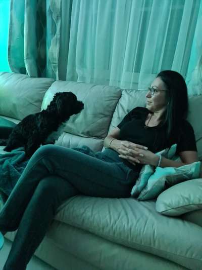 Hundmenschfotos-Beitrag-Bild