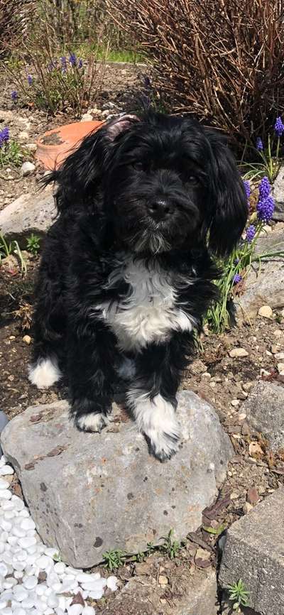 Doppelgänger gesucht !-Beitrag-Bild