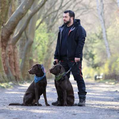 Hundeschulen-Dein Hundetrainer Berlin - Christian Beier-Bild