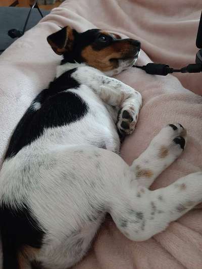 Blick fürs Detail!-Beitrag-Bild