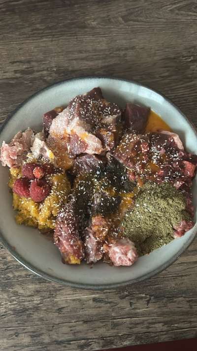 Zeigt her Eure Futternäpfe-Beitrag-Bild