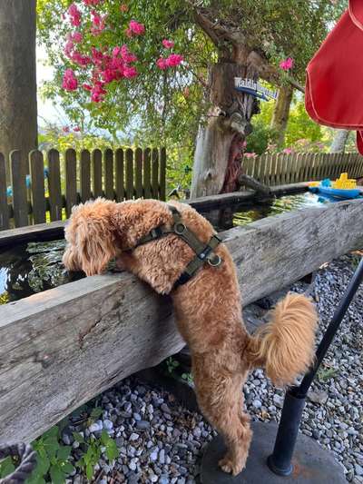 Theos Fotochallenge Nr. 3-Beitrag-Bild