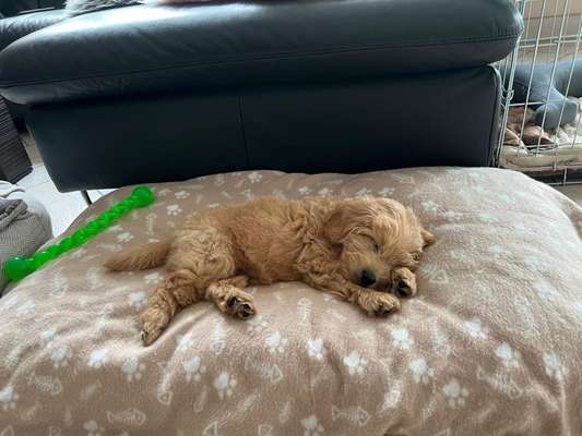 Fotochallange Nummer 5-Beitrag-Bild