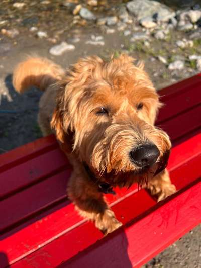 Theos Fotochallange Nummer 4-Beitrag-Bild