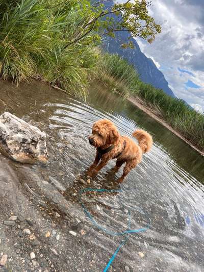 Theos  Fotochallenge Nummer 2-Beitrag-Bild