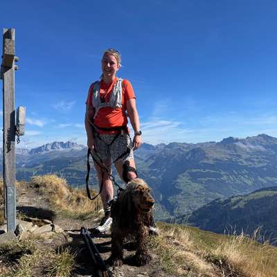 Hundetreffen-Canicross Partner-Bild