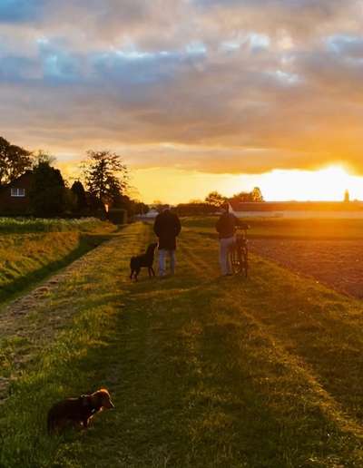 Fotochallenge Nr. 62 Romantische Momente-Beitrag-Bild