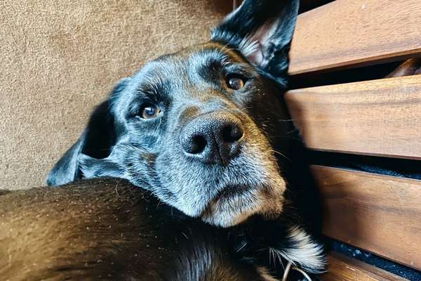 Fotochallange Nr. 57     PORTRÄT.   Beendet!!!!!!!!-Beitrag-Bild