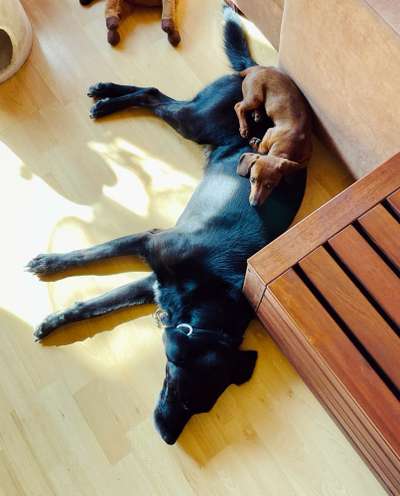 Lieblingsbild-Beitrag-Bild