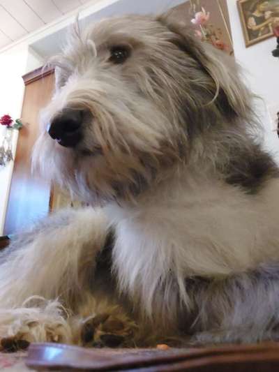 Gibts hier Mioritic Besitzer?-Beitrag-Bild