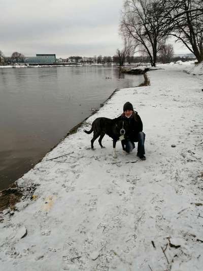 Hobby's mit Hund-Beitrag-Bild