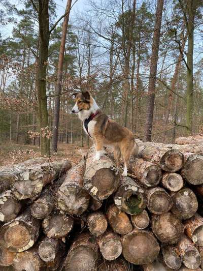 Theos Fotochallenge Nr. 3-Beitrag-Bild