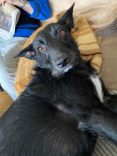 Zeigt mir die tollste Nahaufnahme von eurer Fellnase-Beitrag-Bild