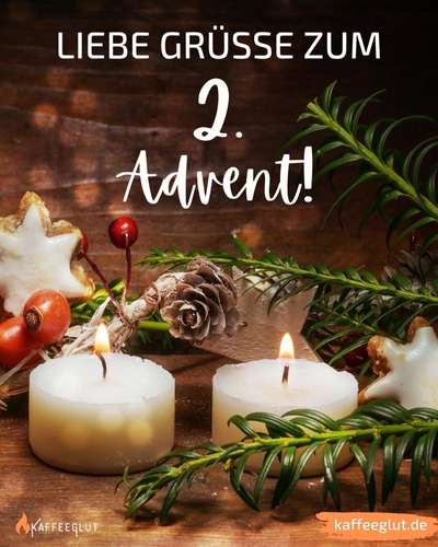 Windhunde - Treffen der besonderen Schönheiten
HERZLICH WILLKOMMEN-Beitrag-Bild