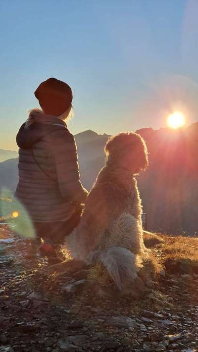 Die Dogorama Wochen Challenge-Beitrag-Bild