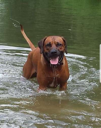 Lieblingsbild :D-Beitrag-Bild