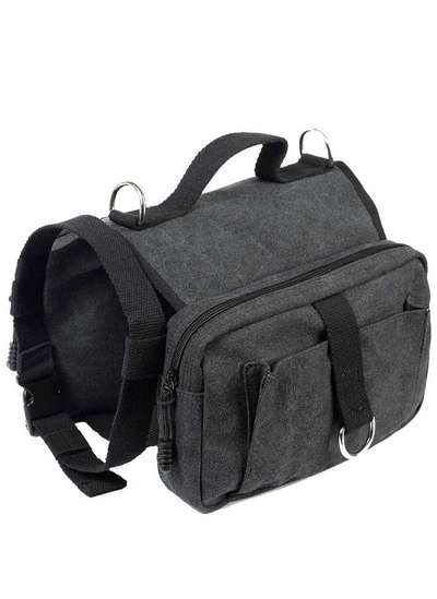 Wandern/Trekking mit Hund-Beitrag-Bild