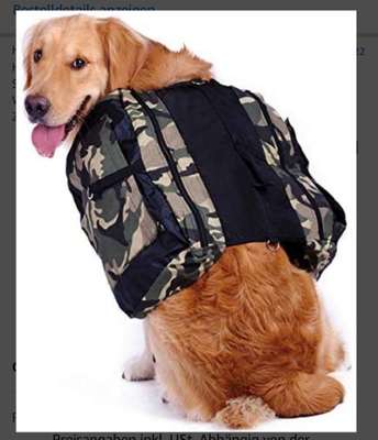 Wandern/Trekking mit Hund-Beitrag-Bild