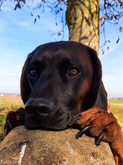 Fotochallange Nr. 57     PORTRÄT.   Beendet!!!!!!!!-Beitrag-Bild