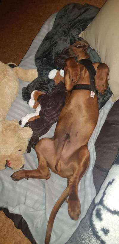 Foto Challenge 82-Beitrag-Bild