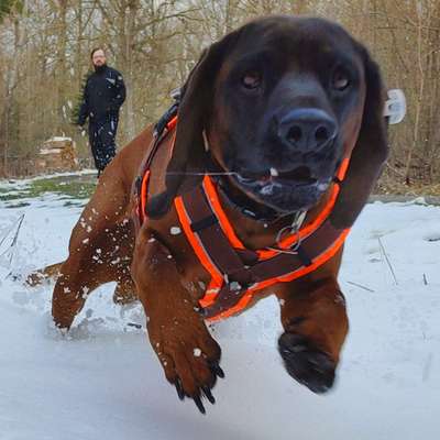 Zeigt mal eure besten Freunde-Beitrag-Bild