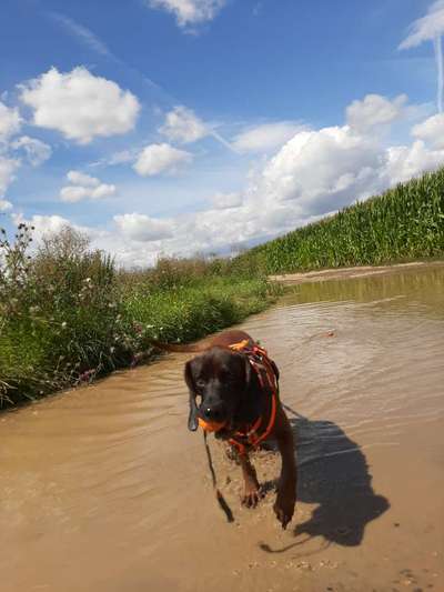 Fotochallange Nr. 46

Schattenspiele BEENDET!!!!!-Beitrag-Bild