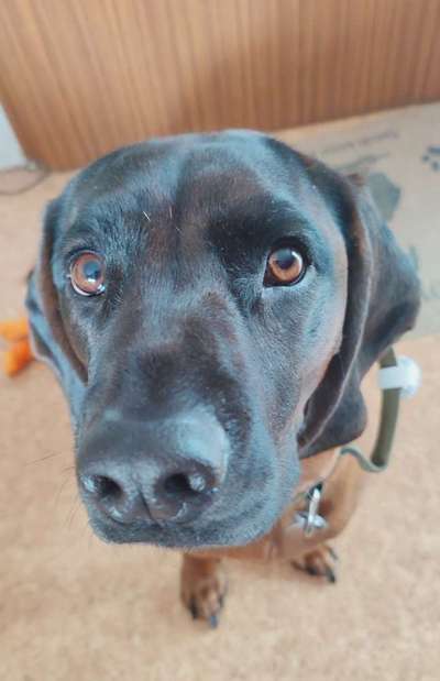 Von oben-Beitrag-Bild