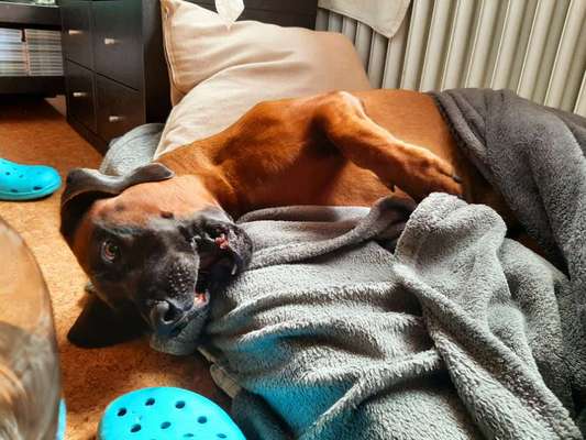 Her mit dem Grimassen-Beitrag-Bild