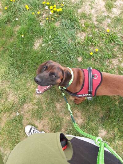 Immer lächeln !-Beitrag-Bild