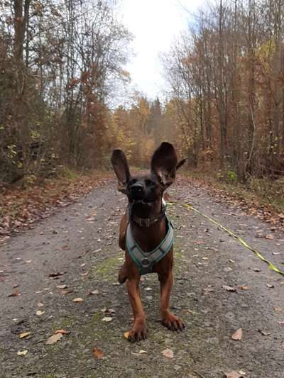 Fotochallenge No. 5-Beitrag-Bild