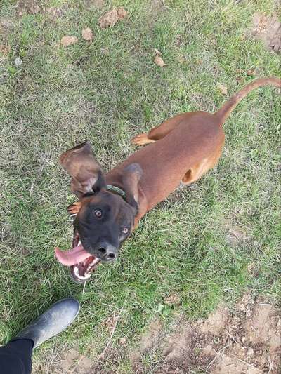 Fotochallange Nr. 6 Die irrsten Blicke-Beitrag-Bild