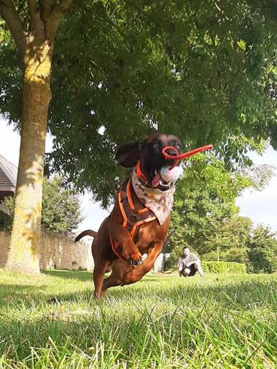 Lieblingsbild-Beitrag-Bild