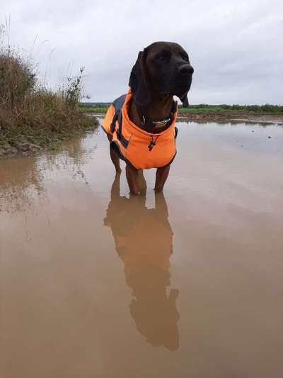 Foto Challenge - BEENDET - bitte aktuelle Challenge nutzen-Beitrag-Bild